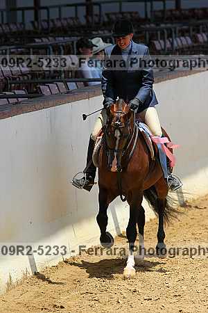 Proof Number 09r2-5233