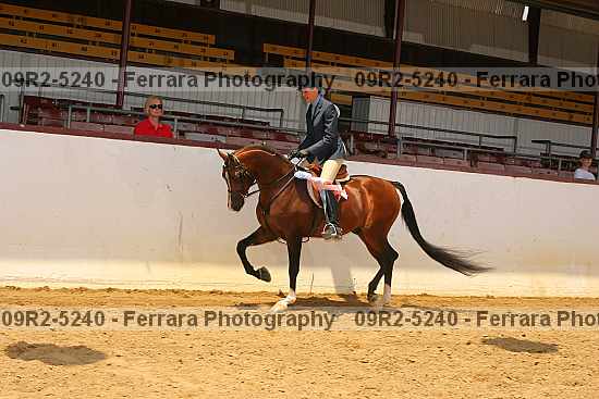 Proof Number 09r2-5240