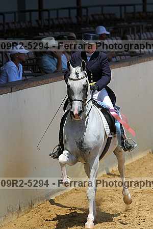 Proof Number 09r2-5294