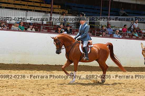 Proof Number 09r2-0236