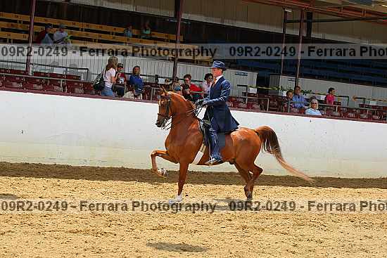 Proof Number 09r2-0249