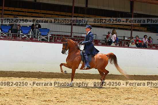 Proof Number 09r2-0250