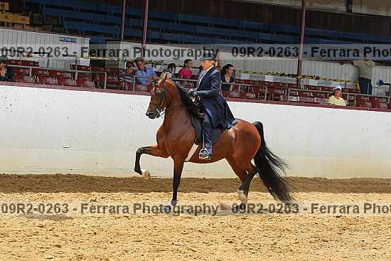 Proof Number 09r2-0263
