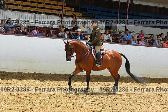 Proof Number 09r2-0286
