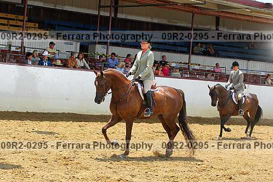 Proof Number 09r2-0295