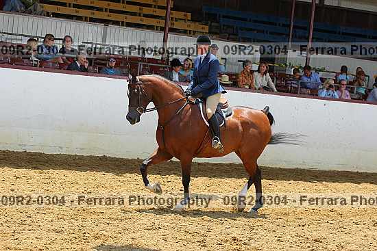 Proof Number 09r2-0304