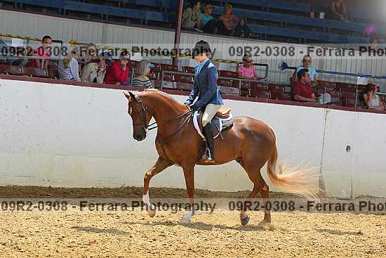 Proof Number 09r2-0308