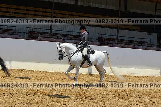 Proof Number 09r2-0319