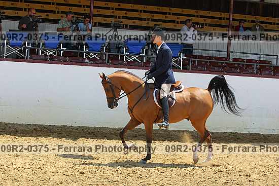 Proof Number 09r2-0375