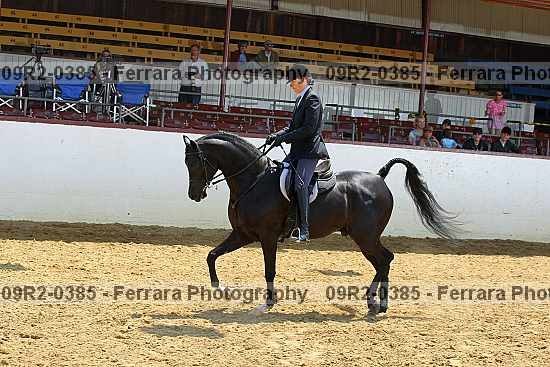 Proof Number 09r2-0385
