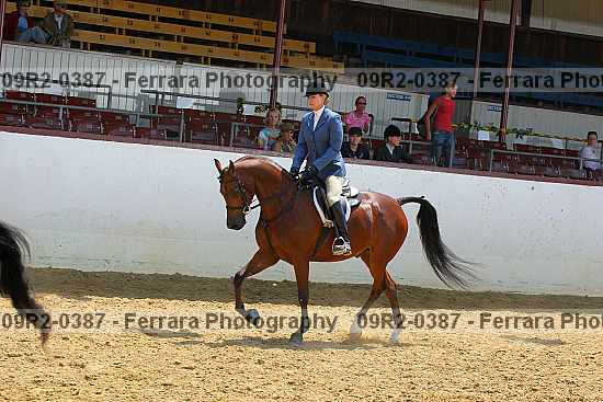 Proof Number 09r2-0387