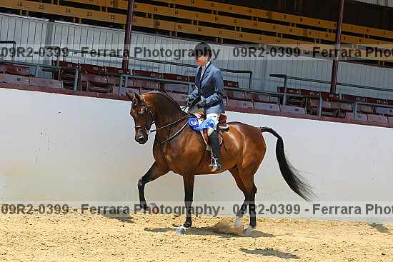 Proof Number 09r2-0399