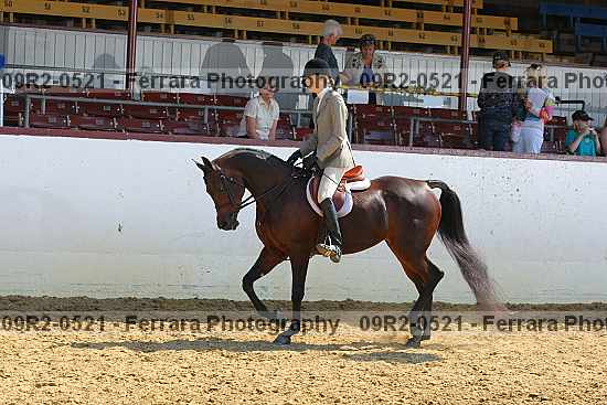 Proof Number 09r2-0521