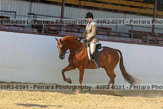 Proof Number 09r2-0591