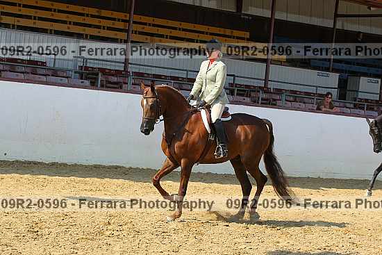Proof Number 09r2-0596
