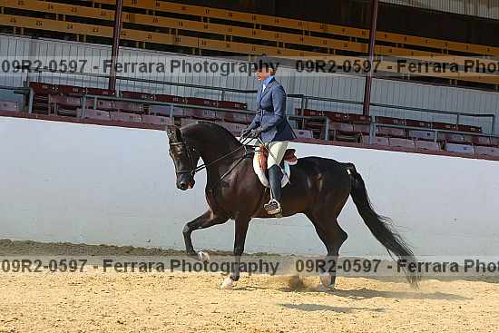 Proof Number 09r2-0597