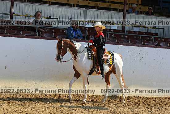 Proof Number 09r2-0633