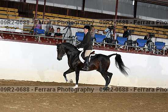 Proof Number 09r2-0688