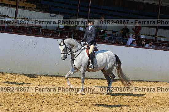 Proof Number 09r2-0867