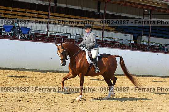 Proof Number 09r2-0887