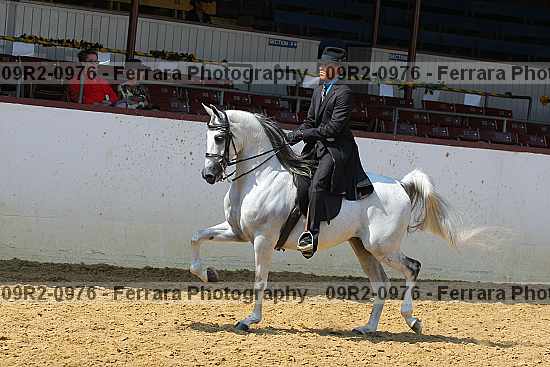 Proof Number 09r2-0976