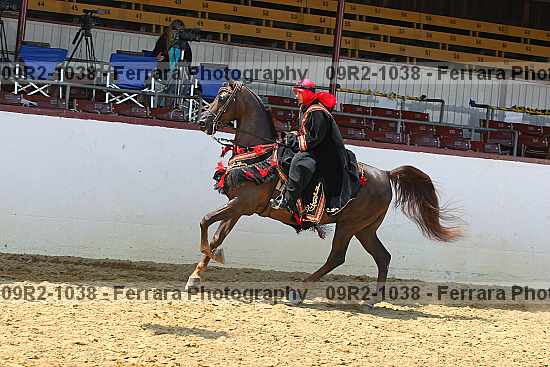 Proof Number 09r2-1038