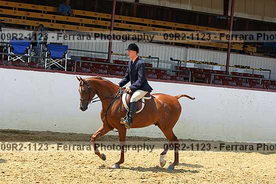 Proof Number 09r2-1123