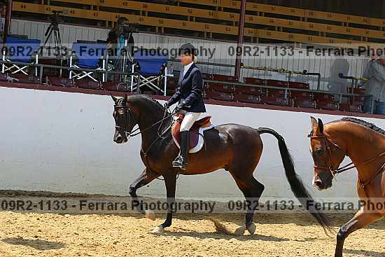 Proof Number 09r2-1133