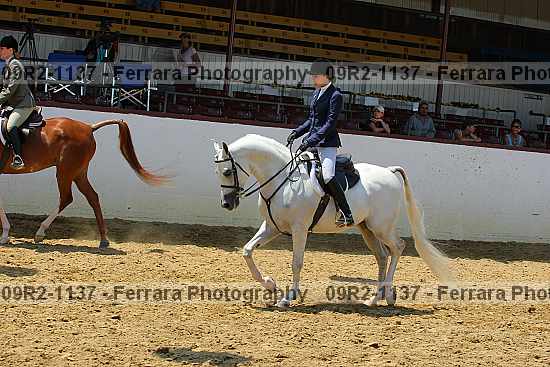 Proof Number 09r2-1137