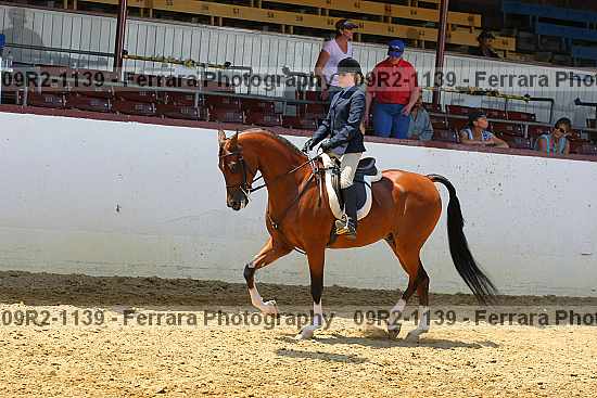Proof Number 09r2-1139