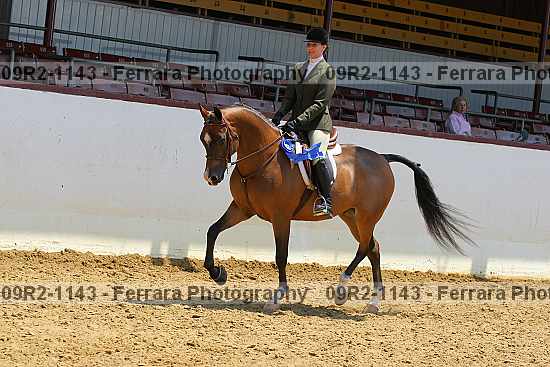 Proof Number 09r2-1143