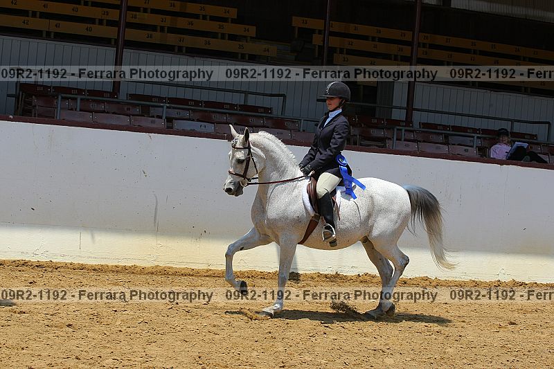 Proof Number 09r2-1192