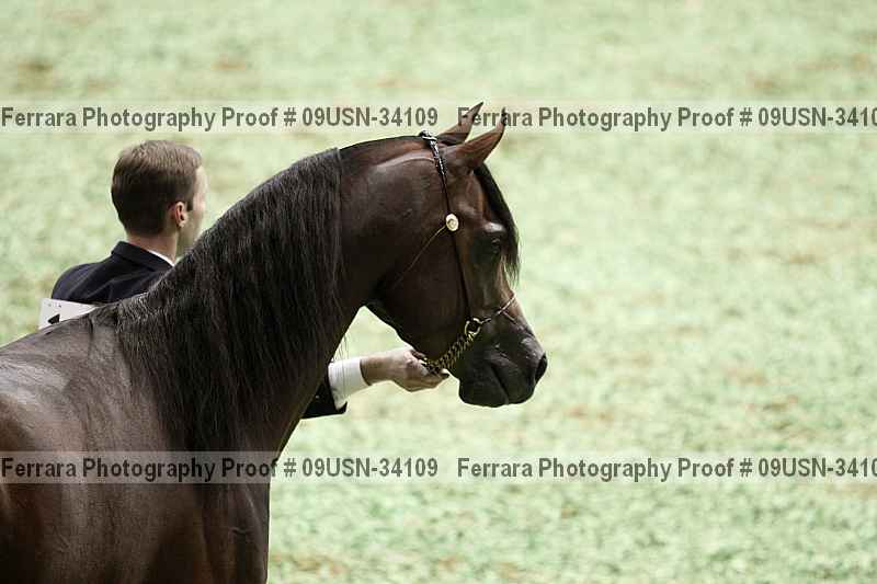 Proof Number 09usn-34109