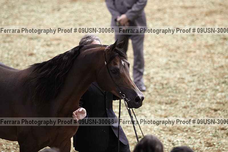 Proof Number 09usn-30066