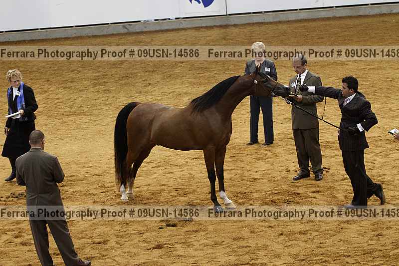Proof Number 09usn-14586