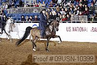 09usn-10399 thumbnail