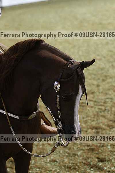 Proof Number 09usn-28165