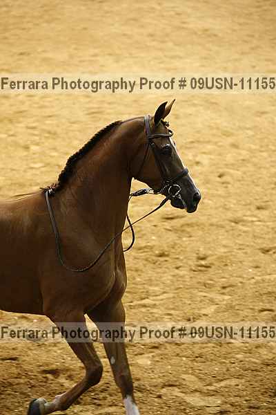 Proof Number 09usn-11155