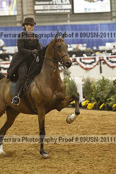 Proof Number 09usn-20111