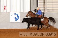 09usn-03915 thumbnail