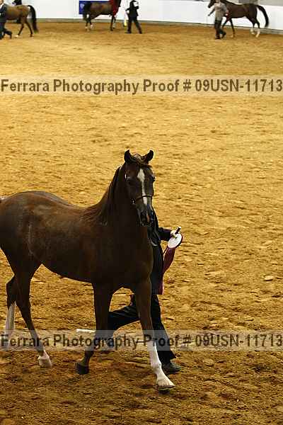 Proof Number 09usn-11713