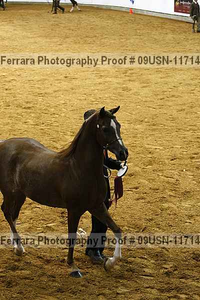 Proof Number 09usn-11714