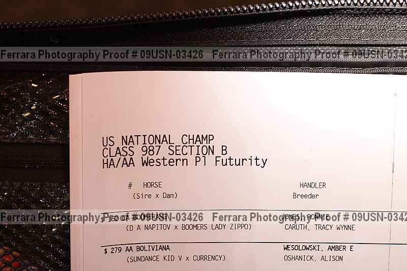 Proof Number 09usn-03426