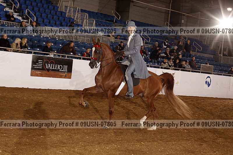 Proof Number 09usn-07805