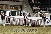 09usn-29018 proof