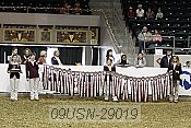 09usn-29019 proof
