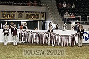 09usn-29020 proof