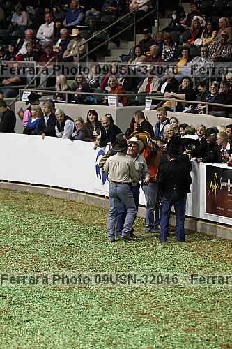 Proof 09usn-32046