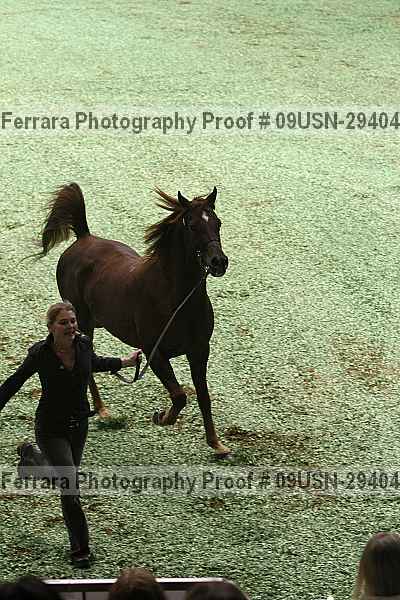 Proof Number 09usn-29404