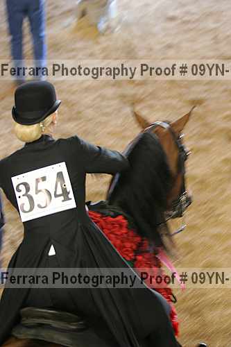 Proof Number 09yn-11923